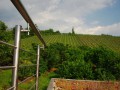 20Terrassensicht-Weinberge